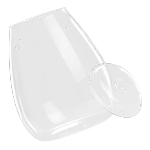 Mipcase transparente Flasche büro deko Office deko esstisch deko Terrariumflasche Pflanzflasche Flaschenterrarium Anlage Sukkulenten Pflanzenbehälter selber Machen Pflanzen Flasche Glas von Mipcase