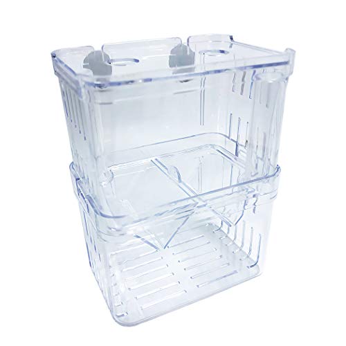 Mipukbay Aquarium Kleine Isolation Zuchtbox, Acryl Transparent Aquarium Züchter Box für Fisch Fry Hatching, Garnelenzucht, Betta, Guppy, Killifish, Clownfisch, geeignet für kleine Aquarien Mipukbay Aquarium Kleine Isolation Zuchtbox, Acryl Transparent Aquarium Züchter Box für Fisch Fry Hatching, Garnelenzucht, Betta, Guppy, Killifish, Clownfisch, geeignet für kleine Aquarien von Mipukbay