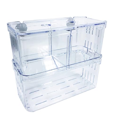 Mipukbay Große Aquarium Isolation Zuchtbox, Acryl Transparent Aquarium Züchter Box für Fisch Fry Hatching, Garnelenzucht, Betta, Guppy, Killifish, Clownfisch, geeignet für 5-40 Gallonen Tanks Mipukbay Große Aquarium Isolation Zuchtbox, Acryl Transparent Aquarium Züchter Box für Fisch Fry Hatching, Garnelenzucht, Betta, Guppy, Killifish, Clownfisch, geeignet für 5-40 Gallonen Tanks von Mipukbay