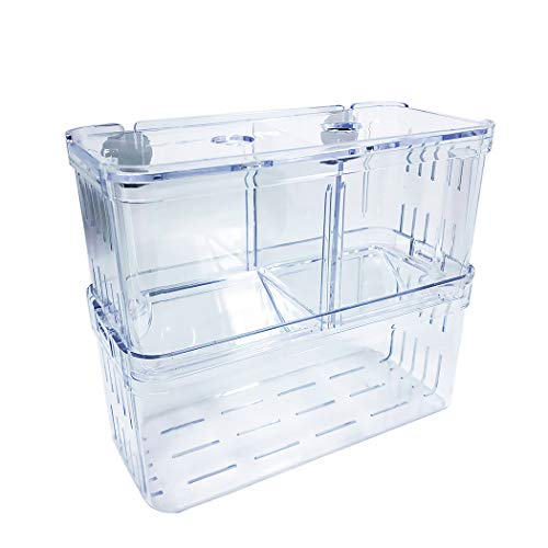 Mipukbay Mittelgroße Aquarium-Isolations-Zuchtbox, Acryl, transparent, für Fischbruten, Garnelenzucht, Betta, Guppy, Killifish, Clownfisch, geeignet für 5–40 Gallonen Tanks Mipukbay Mittelgroße Aquarium-Isolations-Zuchtbox, Acryl, transparent, für Fischbruten, Garnelenzucht, Betta, Guppy, Killifish, Clownfisch, geeignet für 5–40 Gallonen Tanks von Mipukbay