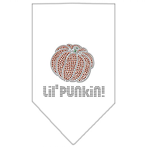 Halloween Haustier und Hund Bandana Strass Lil Punkin weiß groß von Mirage Pet Products