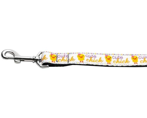 Mirage Pet Products Hundehalsband aus Nylon, mit 2,5 cm x 1,2 m Leine für Haustiere Mirage Pet Products Hundehalsband aus Nylon, mit 2,5 cm x 1,2 m Leine für Haustiere von Mirage Pet Products