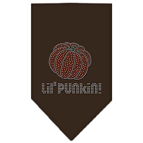 Halloween Haustier und Hund Bandana Strass Lil Punkin Kakao klein von Mirage Pet Products
