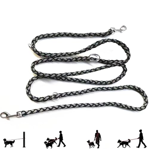 Hundeleine Mit Reflektierenden Streifen, 2.5m x 12mm Verstellbar Leuchtleine Mit 2 Karabiner, Joggingleine Geflochten Doppelleine Für Kleine Mittelgroße Hunde, Nylon von Mirrwin