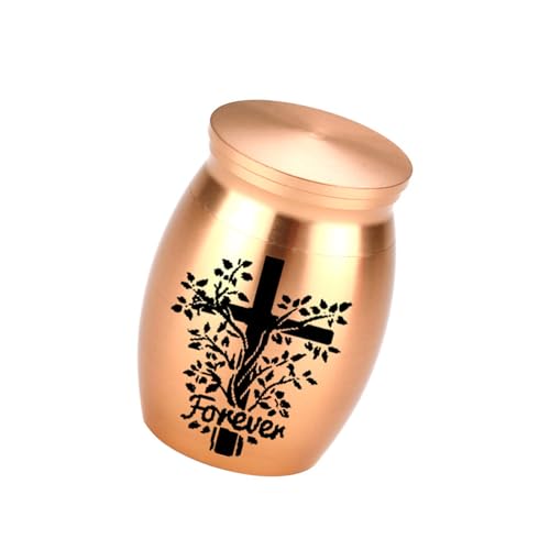 Mirweon Simple Casket Asche Gefäß Asche für Haustierurne Schnitzereien Gedenkstätte kleines Glas Urne Behälter Sympathie Haustier Verlust Mirweon Simple Casket Asche Gefäß Asche für Haustierurne Schnitzereien Gedenkstätte kleines Glas Urne Behälter Sympathie Haustier Verlust von Mirweon