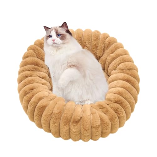 Misaakoeq Katze Donut Bett | Warmweicher Katzen Schlafplatz,rutschfeste Plüsch Haustierkissen Für Innen Außen Balkon Büro Ecke Boden Wohnzimmer Reise Wohnung Zuhause Misaakoeq Katze Donut Bett | Warmweicher Katzen Schlafplatz,rutschfeste Plüsch Haustierkissen Für Innen Außen Balkon Büro Ecke Boden Wohnzimmer Reise Wohnung Zuhause von Misaakoeq