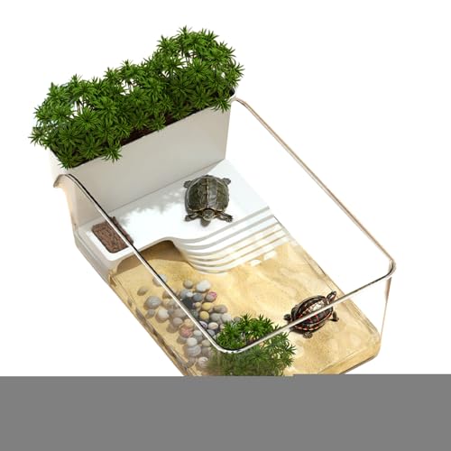 Misaakoeq Schildkröten-Aquarium, Terrapin-Futterbox, transparentes kleines Reptilien-Terrarium für Terrapin, Krabben, Zuhause, Schule, Wissenschaftsunterricht, Naturpädagogen Misaakoeq Schildkröten-Aquarium, Terrapin-Futterbox, transparentes kleines Reptilien-Terrarium für Terrapin, Krabben, Zuhause, Schule, Wissenschaftsunterricht, Naturpädagogen von Misaakoeq