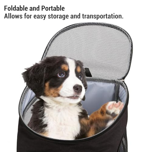 Cat -Rucksackträger für kleine Haustiere/Katzen/Welpen, Tierträgertasche mit Maschenlüftung, für Reisen im Freien, Wandern, Reisen, Camping im Freien (S) von Miskall
