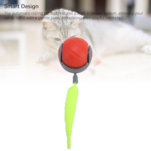 Miskall Interaktives Katzenspielzeug mit Federschwanz für Innenkatzen, wiederaufladbare, intelligente interaktive Kätzchen -Rolling -Ball, zwitschernde Bewegung Aktivieren Sie (Red) von Miskall