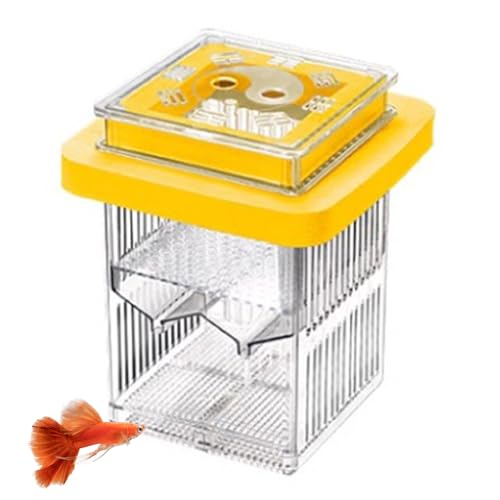 Aufzuchtbecken Aquarium Brutkasten Zuchttanks Für Fische Aquarium Isolierbecken Laichkasten Mit Saugnapf Multifunktional Fisch Züchterbox Zum Aufhängen Brutkasten Für Babyfische Aufzuchtbecken Aquarium Brutkasten Zuchttanks Für Fische Aquarium Isolierbecken Laichkasten Mit Saugnapf Multifunktional Fisch Züchterbox Zum Aufhängen Brutkasten Für Babyfische von Missmisq