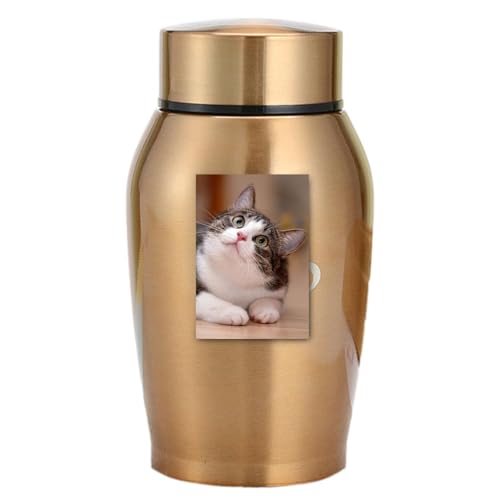 Haustierurnen Für Hunde Asche Urne Für Haustierasche Kleine Urnen Einäscherung Keepsakes Für Asche Haustier Asche Urnen Memorial Asche Halter Andenken Urne Für Die Asche Von Haustieren Haustierurnen Für Hunde Asche Urne Für Haustierasche Kleine Urnen Einäscherung Keepsakes Für Asche Haustier Asche Urnen Memorial Asche Halter Andenken Urne Für Die Asche Von Haustieren von Missmisq