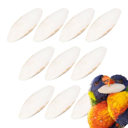 Missmisq 10PCS Vogel Sepiaschale Spielzeug Vogel Sepiaschale Für Sittiche Kauen Vogel Sepiaschale Papagei Entsalzt Tintenfisch Knochen Kauen Spielzeug Tintenfisch Knochen Kalzium Für Papageien Vögel Missmisq 10PCS Vogel Sepiaschale Spielzeug Vogel Sepiaschale Für Sittiche Kauen Vogel Sepiaschale Papagei Entsalzt Tintenfisch Knochen Kauen Spielzeug Tintenfisch Knochen Kalzium Für Papageien Vögel von Missmisq