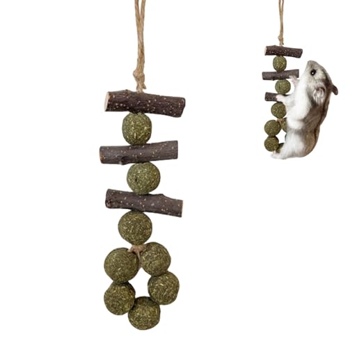 Missmisq Hamster Kauspielzeug Kaninchen Kauspielzeug Für Kleine Tiere Käfig Zubehör Naturholz Kaninchenspielzeug Backenzahnspielzeug Für Hamster Chinchilla Hasen Meerschweinchen von Missmisq