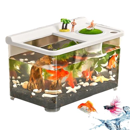 Missmisq Kleines Aquarium Mit 3 Farblicher Beleuchtung | Haushalt Aquarium - Für Hydrokultur Tisch Arbeitsplatz Wohnzimmer Schlafzimmer Missmisq Kleines Aquarium Mit 3 Farblicher Beleuchtung | Haushalt Aquarium - Für Hydrokultur Tisch Arbeitsplatz Wohnzimmer Schlafzimmer von Missmisq