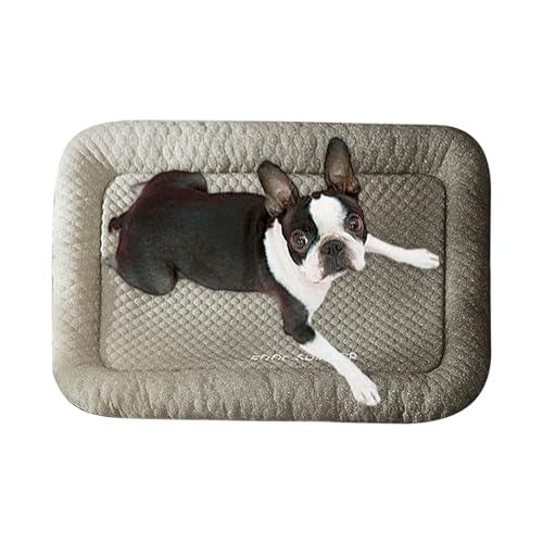 Missmisq Kühlmatte Für Haustiere Für Hunde - Katzenkühlkissen - Für Bett Hundezwinger Transportboxen und Schlaf im Wohnzimmer für Welpen Katzen Kaninchen Hamster Reise Waschbar Komfort von Missmisq