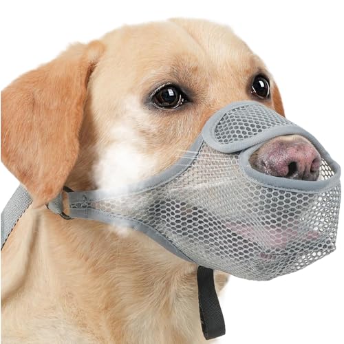 Missmisq Maulkorb Zur Verhinderung Von Bellen - Einstellbarer Schutz Gegen Beißen | Maulschutz Für Haustiere Mit Anti-Lecken-Funktion | Weiches Mesh Geeignet Für Erwachsene, Familien, Tierliebhaber Missmisq Maulkorb Zur Verhinderung Von Bellen - Einstellbarer Schutz Gegen Beißen | Maulschutz Für Haustiere Mit Anti-Lecken-Funktion | Weiches Mesh Geeignet Für Erwachsene, Familien, Tierliebhaber von Missmisq