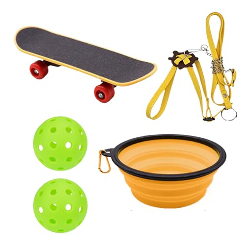 Missmisq Schildkröten Skateboard | Schildkröten Leckerball mit Geschirr Skateboard | Haustierzubehör Süß Für Tagliches Training Drinnen Und Draußen Gehweg Park - Für Wasserschildkröten Kaninchen Missmisq Schildkröten Skateboard | Schildkröten Leckerball mit Geschirr Skateboard | Haustierzubehör Süß Für Tagliches Training Drinnen Und Draußen Gehweg Park - Für Wasserschildkröten Kaninchen von Missmisq