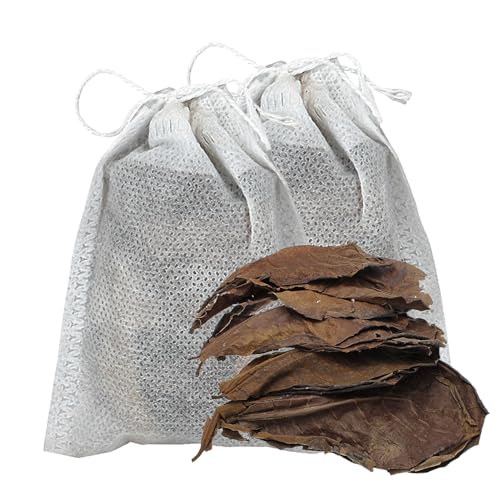 Seemandelbaumblätter Garnelan Betta Fisch Aquarium Pflege Niedrigerer Phe-Wert Für Aquarium Seemandelbaumblätter Catappa Leaves Für Aquarium Fisch & Garnelan Seemandelbaumblätter Garnelan Betta Fisch Aquarium Pflege Niedrigerer Phe-Wert Für Aquarium Seemandelbaumblätter Catappa Leaves Für Aquarium Fisch & Garnelan von Missmisq