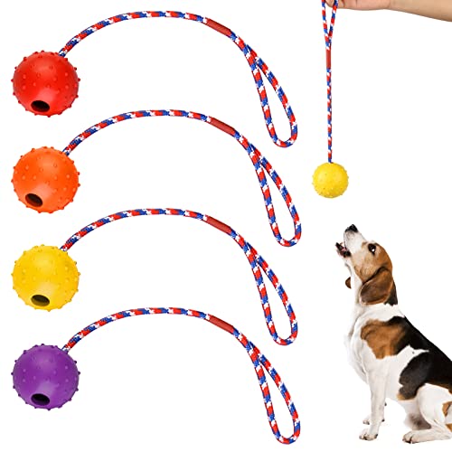 Hundeball Ø 5cm, Hundespielzeug Ball, Wurfball Hund, Ball für Hunde, Ball mit Seil Naturkautschuk, Bälle Spielzeug am Seil für Hunde, Ideal für Große & Kleine Hunde - 4 Stück von Mitening