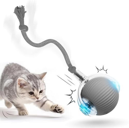 Mittokonnel katzenspielzeug interaktiv katzenspielzeuge Ball elektrisch powerball Katze mit USB Intelligente Hindernisvermeidung Katzenspielzeug Elektrisch Ball, Spielzeug für Katzen(Grau) von Mittokonnel