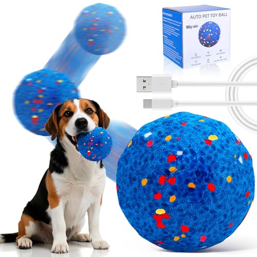 Mity rain Interaktives Hundespielzeug, Ball, Blau von Mity rain