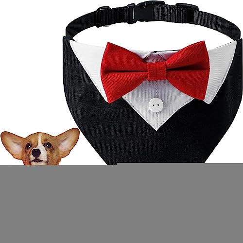 Geburtstag Tuh Sut was Krawatte Unisex Mode Halsd Bandana formell für Hunde Hochzeit(M) von Mivanta