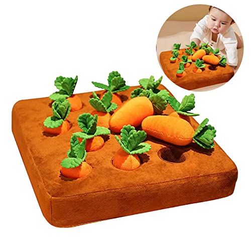 Mivanta Für er zu Hause Plüschtier ühpädagogisch ergarten Pool The Tsarrot Hame ft Mivanta Für er zu Hause Plüschtier ühpädagogisch ergarten Pool The Tsarrot Hame ft von Mivanta