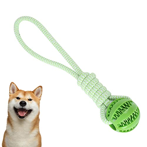 Schlagfestes, jagendes Hundespielzeug, das mit einem Seil isst und einen Kau spielt(Gren) von Mivanta