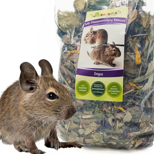 Mixerama Degus SAB Pflanzenmischung Balanced - getreidefreies Futter für Degus ohne Pellets Alleinfutter Größe 500 g von Mixerama