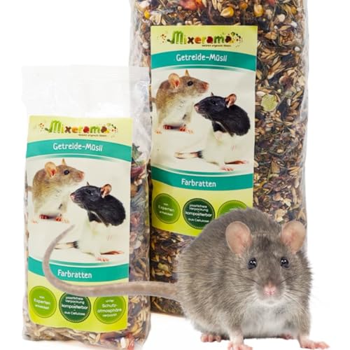 Mixerama Farbratten Getreide-Müsli - artgerechtes natürliches Rattenfutter ohne Pellets - Alleinfutter Größe 500 g von Mixerama