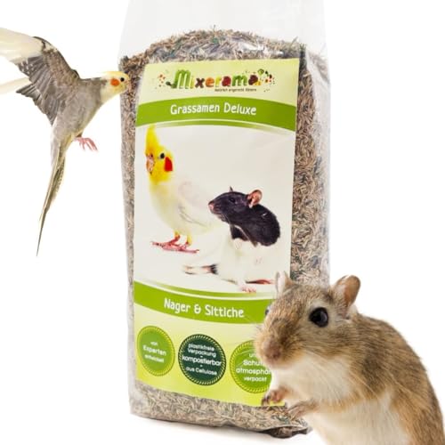 Mixerama Grassamen Deluxe - Ergänzung zum Futter für Ratten Mäuse Zwerghamster und Sittiche Größe 500 g von Mixerama
