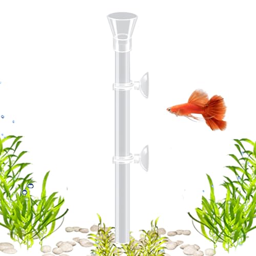 Mixnexorad Aquarium Fischfütterungsröhrchen - Acryl Aquarium Futterröhre,Transparente Futterhilfen Für Fisch Schildkröten Mit Streuverhinderung Mixnexorad Aquarium Fischfütterungsröhrchen - Acryl Aquarium Futterröhre,Transparente Futterhilfen Für Fisch Schildkröten Mit Streuverhinderung von Mixnexorad
