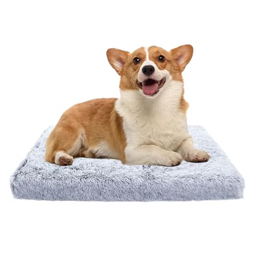 Mixnexorad Haustier-Wärmematte, Haustier-Wärmeunterlage - Warmes Katzenwärmerbett,Doppelseitige Hundebox-Auflage, Nicht elektrisches Winter-Haustierbett, abnehmbar für Haustiere, Katzen, Hunde Mixnexorad Haustier-Wärmematte, Haustier-Wärmeunterlage - Warmes Katzenwärmerbett,Doppelseitige Hundebox-Auflage, Nicht elektrisches Winter-Haustierbett, abnehmbar für Haustiere, Katzen, Hunde von Mixnexorad