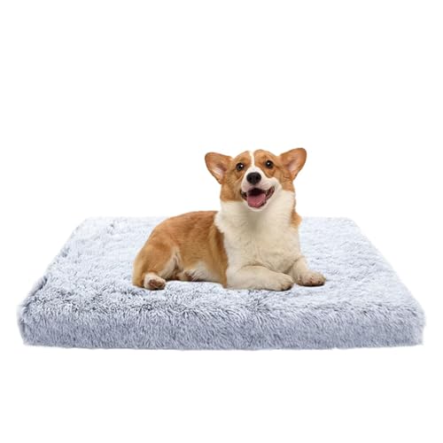 Mixnexorad Wärmendes Haustierbett, Heizkissen für Katzen - Warme Hundebox-Unterlage | Doppelseitige Hundebox-Auflage, Nicht elektrisches Winter-Haustierbett, abnehmbar für Haustiere, Katzen, Hunde Mixnexorad Wärmendes Haustierbett, Heizkissen für Katzen - Warme Hundebox-Unterlage | Doppelseitige Hundebox-Auflage, Nicht elektrisches Winter-Haustierbett, abnehmbar für Haustiere, Katzen, Hunde von Mixnexorad