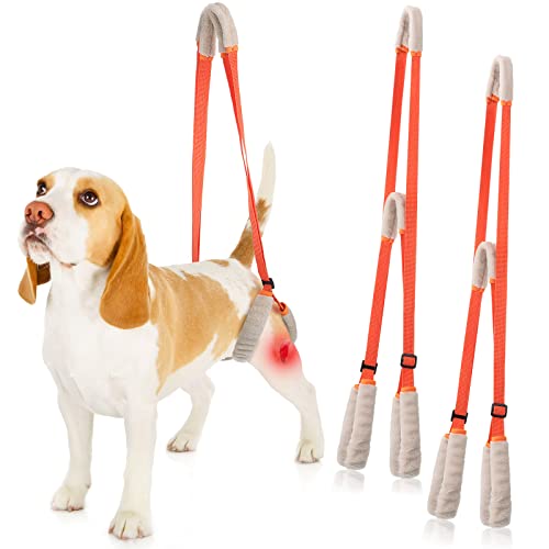 2 Stück Hunde-Stützgeschirr für Rückenbeine, Hunde, Heckschlinge, Hilfe mit Griff und Schultergurt, Hinterbeinunterstützung für Haustiere, Arthritis, Gelenkverletzungen (Orange) von Mixweer