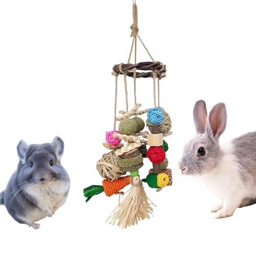 Miyanvuo Hasenspielzeug,Bunny Zahnpflege Nagespielzeug | Beschäftigungsspielzeug Leckerli Nagetoy Für Eichhörnchen Frettchen Chinchillas Kleintiere Haustiere von Miyanvuo