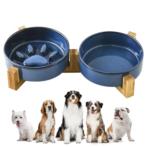 Miyanvuo Hund Slow Feeder Napf | rutschfeste Keramik Hundenapf Station mit Ständer,Futternapf Und Trinknapf Zuhause Garten Camping Miyanvuo Hund Slow Feeder Napf | rutschfeste Keramik Hundenapf Station mit Ständer,Futternapf Und Trinknapf Zuhause Garten Camping von Miyanvuo