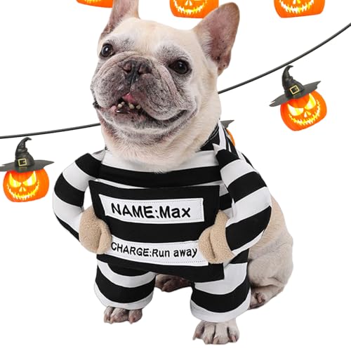 Miyanvuo Hundekostüme Für Halloween, Welpenkleidung, Lustige Verkleidungen Fotoshootings Katzen Kostüme Halloween Festlichkeiten von Miyanvuo