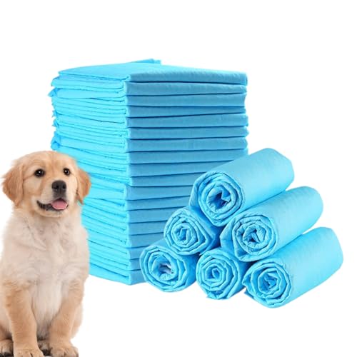 Miyanvuo Hundetrainingskissen - Welpen Trainingspads,100 Stunden Unterlagen Undurchlässig Geruchseliminierung Stubenreinheit Haustierbedarf Kleintiere Katzen Alle Rassen Toiletten Training von Miyanvuo
