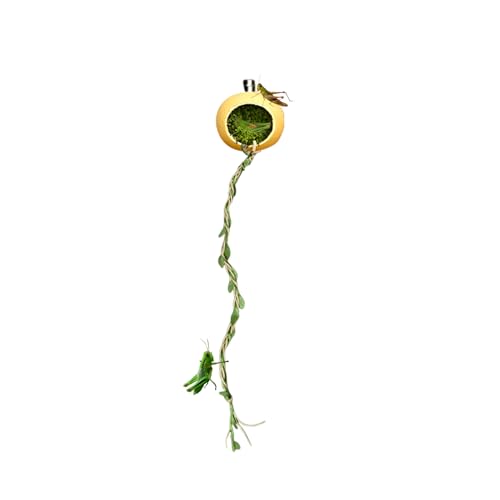 Miyanvuo Magnetische Verstecke für Springspinnen | Wohnhöhle Für Springspinnen | Terrarium Versteckhaus Zubehör Für Geckos Kleine Reptilien Insekten von Miyanvuo