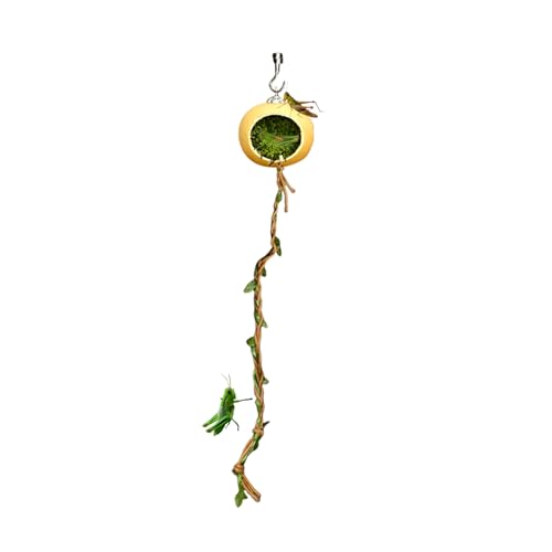 Miyanvuo Zubehör Für Springspinnen Terrarium | Magnetischer Lebensraum Für Springspinnen,Dekoratives Zubehör für Terrarien als Unterschlupf und Lebensraum für Gliederfüßer, kleine Reptilien, von Miyanvuo