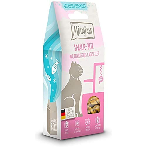 MjAMjAM - Premium Katzensnack - Snackbox - kulinarisches Lachsfilet, 1er Pack (1 x 50 g), naturbelassen ganz ohne synthetische Konservierungsstoffe von MjAMjAM