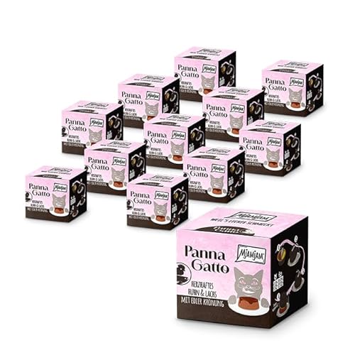 MjAMjAM - Premium Nassfutter für Katzen - Panna Gatto - herzhaftes Huhn & Lachs mit edler Krönung, 12er Pack (2x80g), getreidefrei von MjAMjAM