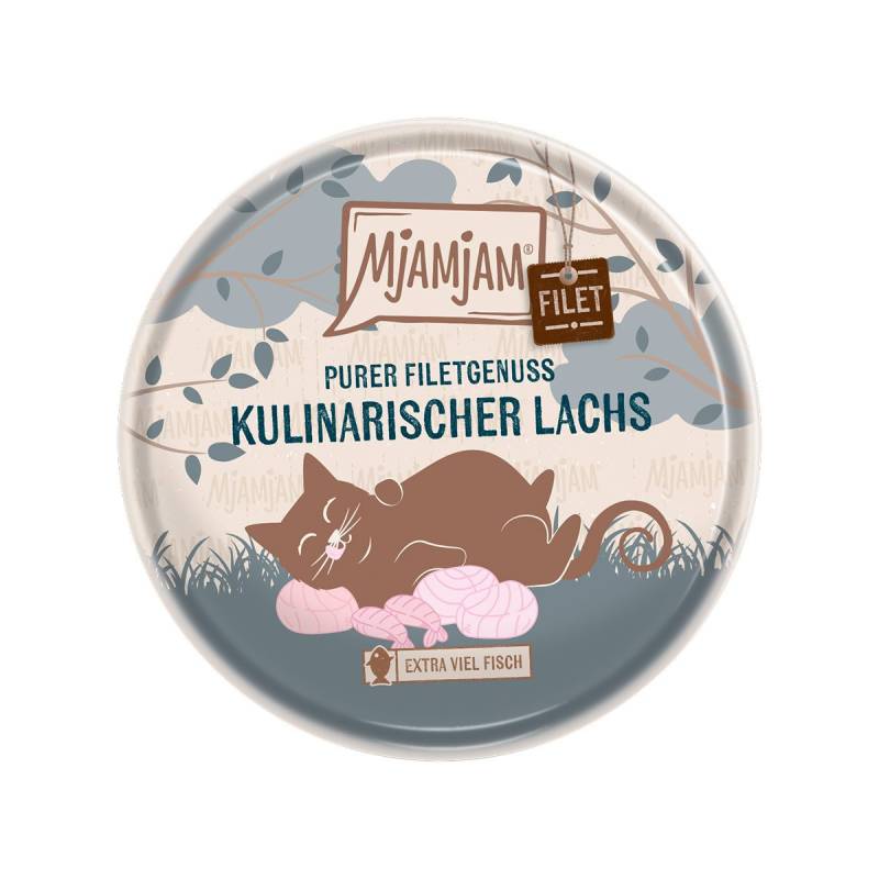 MjAMjAM Purer Filetgenuss - kulinarischer Lachs 8x80g von MjAMjAM