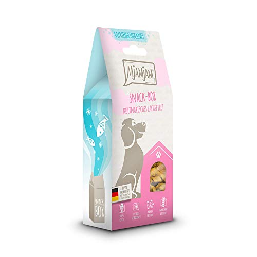 MjAMjAM - Premium Katzensnack - Snackbox - kulinarisches Lachsfilet, 1er Pack (1 x 100 g), naturbelassen ganz ohne synthetische Konservierungsstoffe von MjAMjAM
