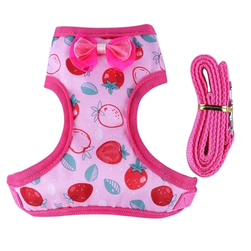 Geschirr und Leine für Kleintiere, einfache Kontrolle, für kleine Tiere, Ente, Leine, Leine und Geschirr Geschirr und Leine für Kleintiere, einfache Kontrolle, für kleine Tiere, Ente, Leine, Leine und Geschirr von Mjaie