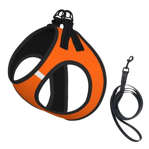 Hundeweste, reflektierend, verstellbar, für kleine Hunde, atmungsaktives Netzgewebe, bequeme Passform, einfach zu tragen, Sicherheitsleine Hundeweste, reflektierend, verstellbar, für kleine Hunde, atmungsaktives Netzgewebe, bequeme Passform, einfach zu tragen, Sicherheitsleine von Mjinbiao