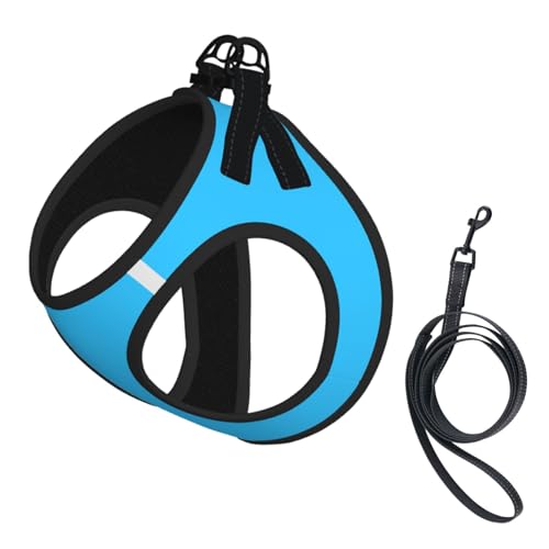 Hundeweste, reflektierend, verstellbar, für kleine Hunde, atmungsaktives Netzgewebe, bequeme Passform, einfach zu tragen, Sicherheitsleine Hundeweste, reflektierend, verstellbar, für kleine Hunde, atmungsaktives Netzgewebe, bequeme Passform, einfach zu tragen, Sicherheitsleine von Mjinbiao