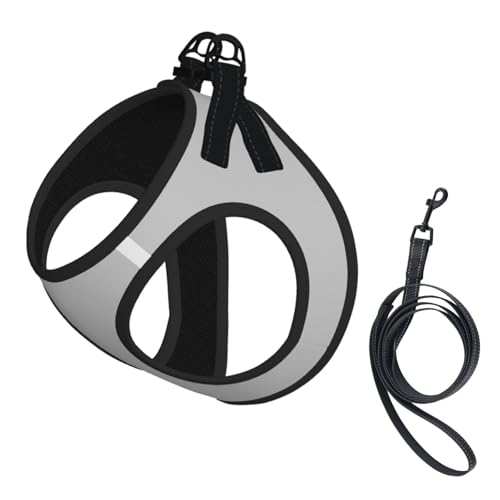 Hundeweste, reflektierend, verstellbar, für kleine Hunde, atmungsaktives Netzgewebe, bequeme Passform, einfach zu tragen, Sicherheitsleine Hundeweste, reflektierend, verstellbar, für kleine Hunde, atmungsaktives Netzgewebe, bequeme Passform, einfach zu tragen, Sicherheitsleine von Mjinbiao