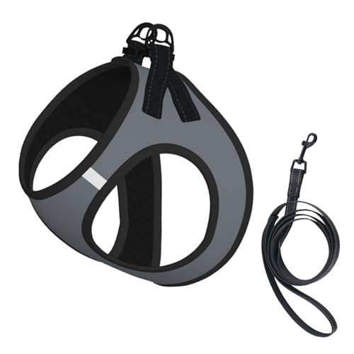 Hundeweste, reflektierend, verstellbar, für kleine Hunde, atmungsaktives Netzgewebe, bequeme Passform, einfach zu tragen, Sicherheitsleine Hundeweste, reflektierend, verstellbar, für kleine Hunde, atmungsaktives Netzgewebe, bequeme Passform, einfach zu tragen, Sicherheitsleine von Mjinbiao